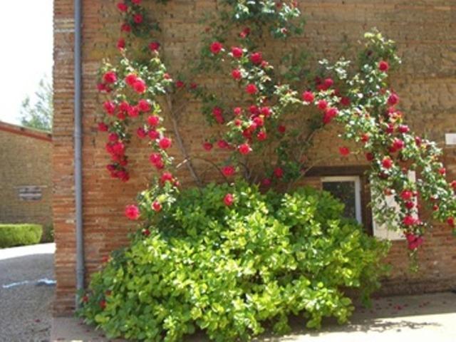 Le Platane Bed & Breakfast Lafrancaise Luaran gambar