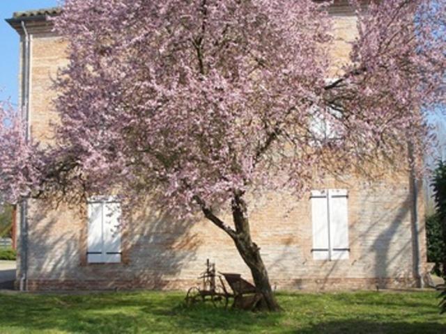 Le Platane Bed & Breakfast Lafrancaise Luaran gambar