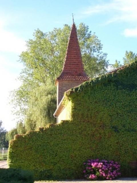 Le Platane Bed & Breakfast Lafrancaise Luaran gambar